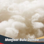 Manfaat Bulu Domba