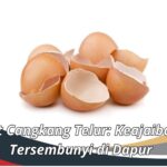 Manfaat Cangkang Telur: Keajaiban yang Tersembunyi di Dapur