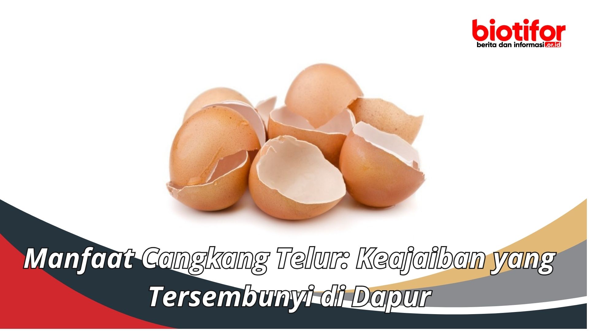 Manfaat Cangkang Telur: Keajaiban yang Tersembunyi di Dapur