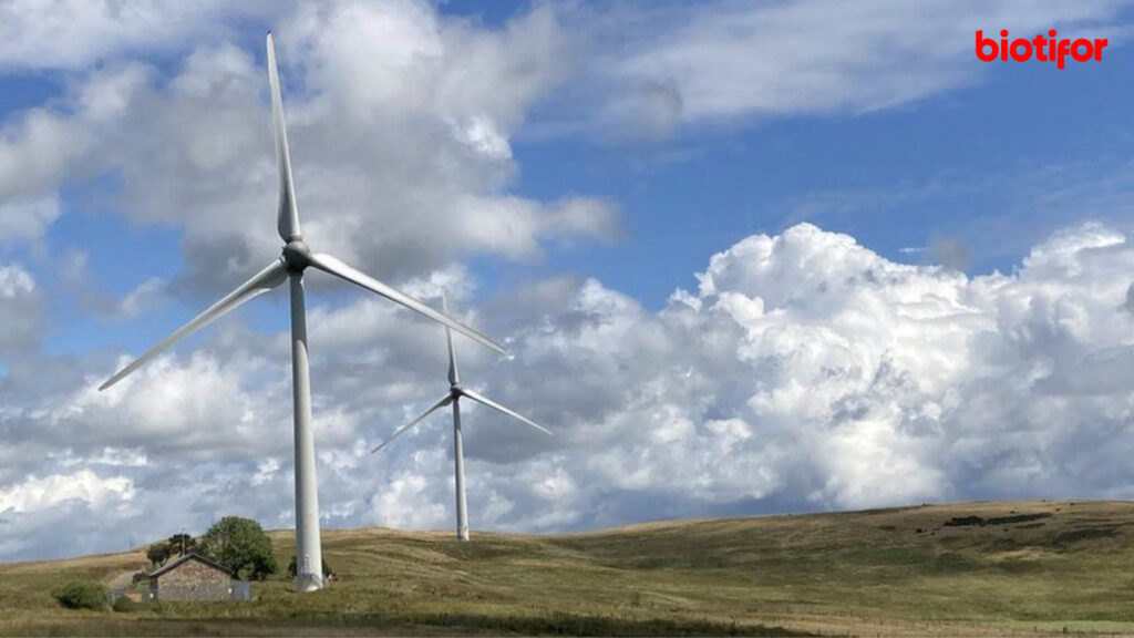 Manfaat Energi Angin untuk Lingkungan