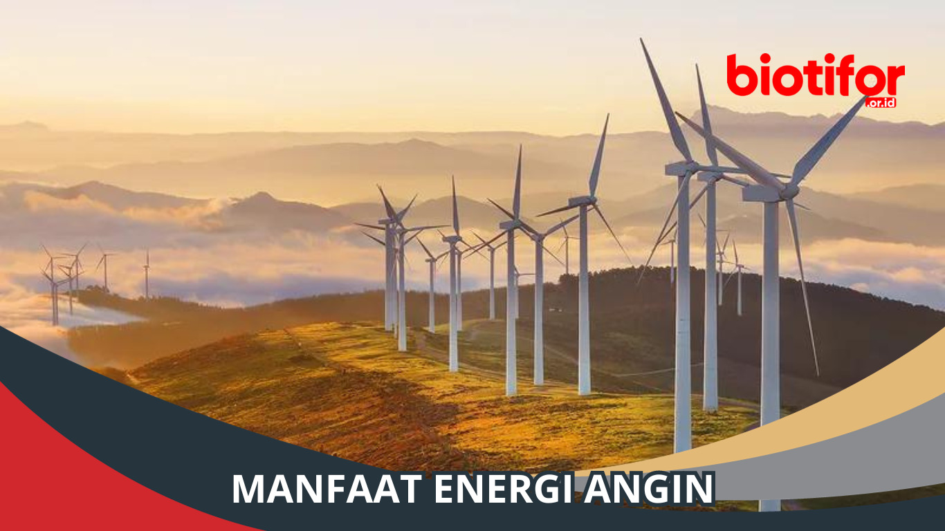 Manfaat Energi Angin: Sumber Daya Alam Ramah Lingkungan
