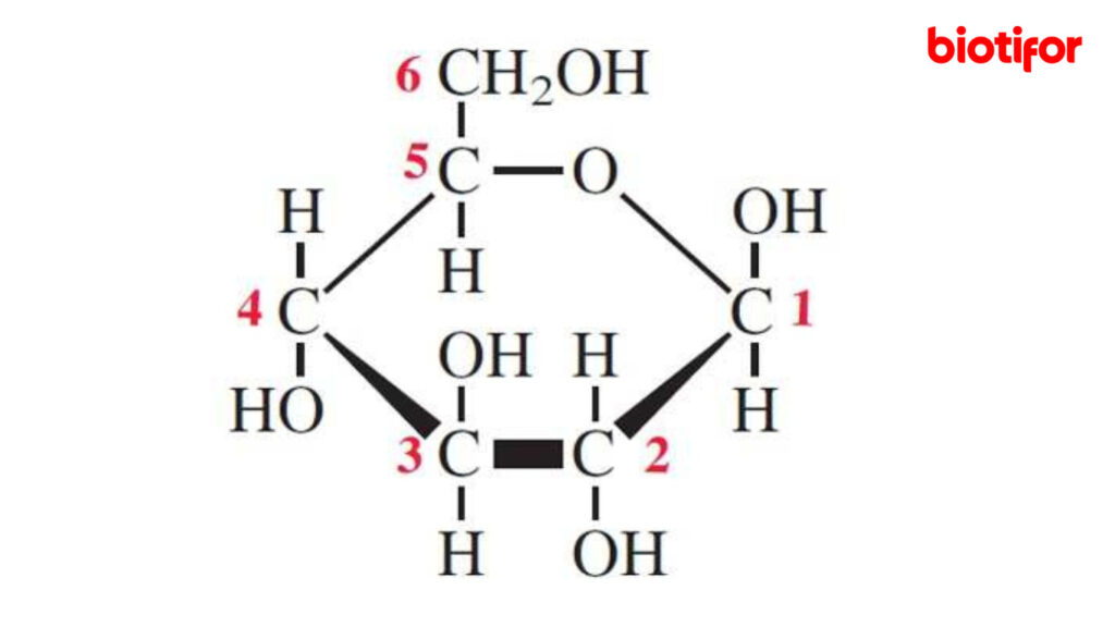 6 Manfaat Utama Glukosa bagi Tubuh