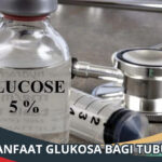 Manfaat Glukosa bagi Tubuh