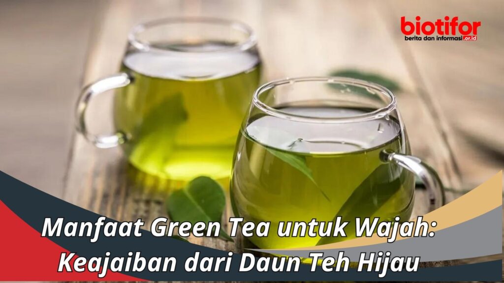 Manfaat Green Tea untuk Wajah Keajaiban dari Daun Teh Hijau Biotifor