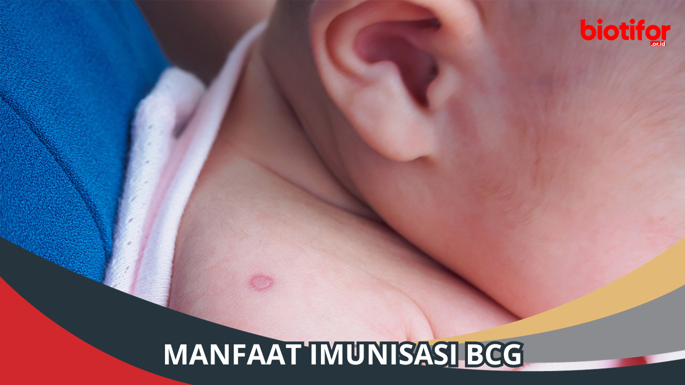 Manfaat Imunisasi BCG