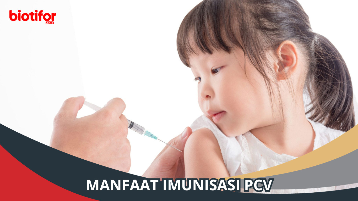 Manfaat Imunisasi PCV, Perlindungan Vital untuk Si Kecil
