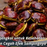 Manfaat Jengkol untuk Kesehatan: Kenali dan Cegah Efek Sampingnya