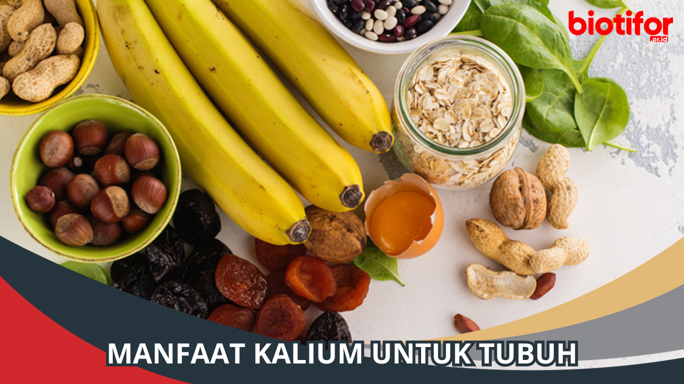 Manfaat Kalium Untuk Tubuh Nutrisi Penting Yang Wajib Diketahui Biotifor