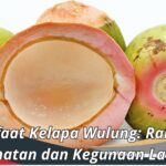 Manfaat Kelapa Wulung: Rahasia Kesehatan dan Kegunaan Lainnya