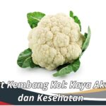 Manfaat Kembang Kol: Kaya Akan Gizi dan Kesehatan