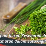 Manfaat Kucai: Kesehatan dan Kenikmatan dalam Satu Gigitan