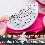 Manfaat Kulit Buah Naga: Khasiat Luar Biasa dari Yang Tersembunyi