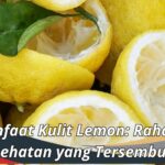 Manfaat Kulit Lemon: Rahasia Kesehatan yang Tersembunyi