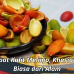 Manfaat Kulit Melinjo, Khasiat Luar Biasa dari Alam