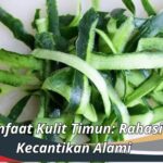 Manfaat Kulit Timun: Rahasia Kecantikan Alami