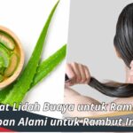 Manfaat Lidah Buaya untuk Rambut: Keajaiban Alami untuk Rambut Indah