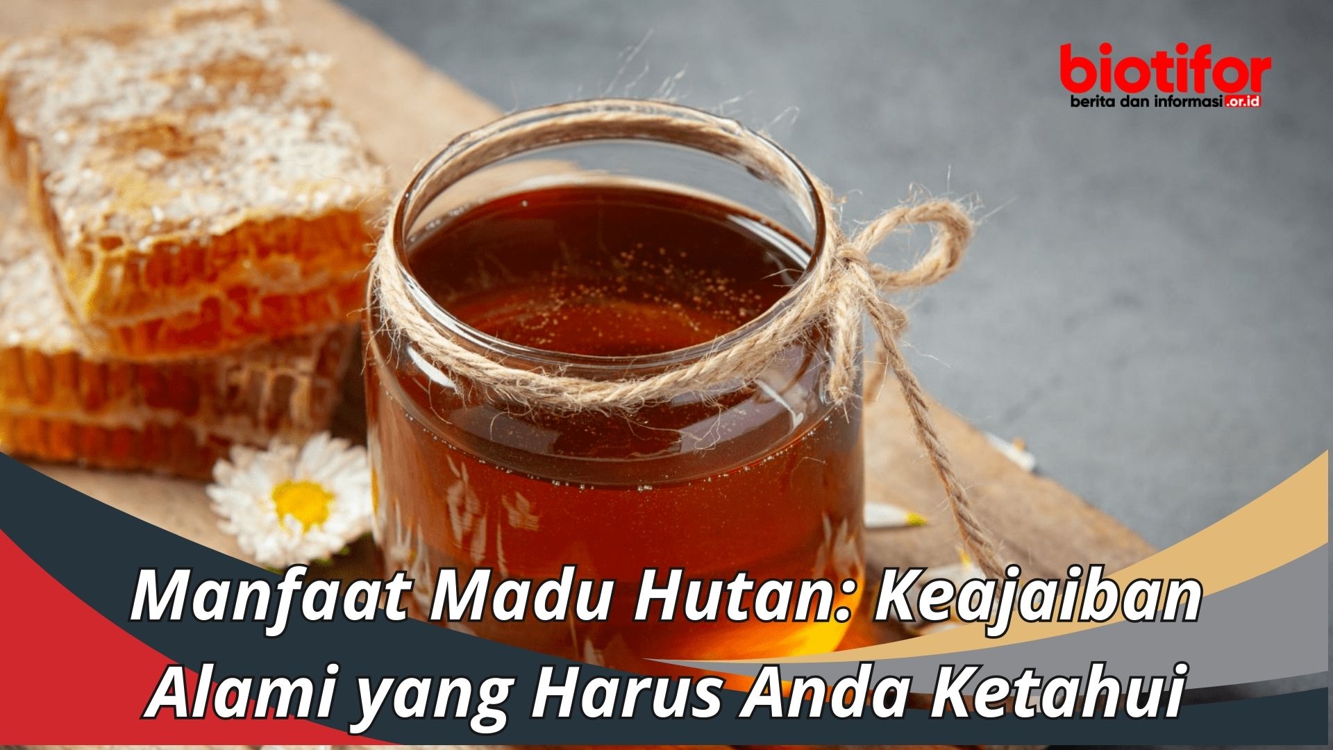 Manfaat Madu Hutan: Keajaiban Alami yang Harus Anda Ketahui