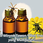 Manfaat Minyak Tawon, Obat Tradisional yang Multifungsi
