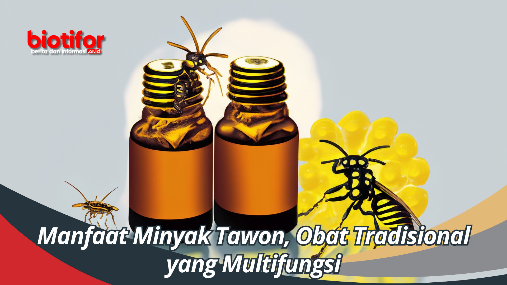 Manfaat Minyak Tawon, Obat Tradisional yang Multifungsi