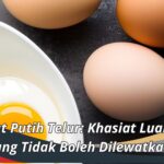 Manfaat Putih Telur: Khasiat Luar Biasa yang Tidak Boleh Dilewatkan