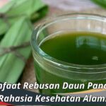 Manfaat Rebusan Daun Pandan: Rahasia Kesehatan Alami