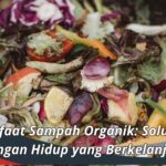 Manfaat Sampah Organik: Solusi Lingkungan Hidup yang Berkelanjutan