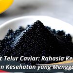 Manfaat Telur Caviar: Rahasia Kecantikan dan Kesehatan yang Menggoda