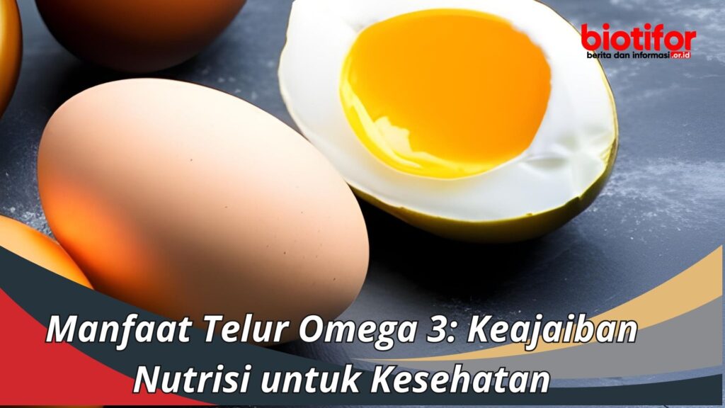 Manfaat Telur Omega 3 Keajaiban Nutrisi untuk Kesehatan Biotifor