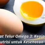 Manfaat Telur Omega 3: Keajaiban Nutrisi untuk Kesehatan