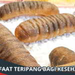 Manfaat Teripang