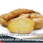 Manfaat Ubi Cilembu: Nikmati Kelezatan dan Khasiatnya