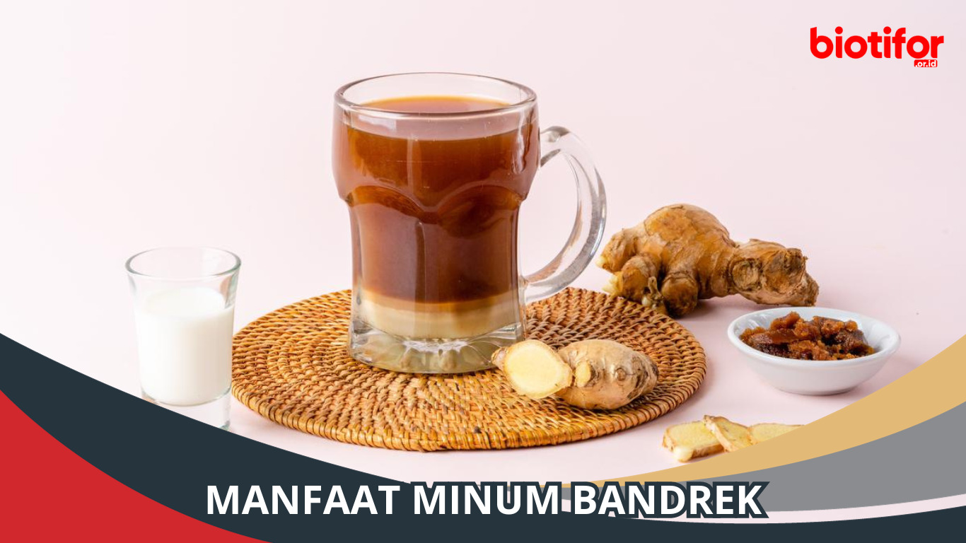 Manfaat Bandrek Minuman Hangat yang Kaya Manfaat Biotifor