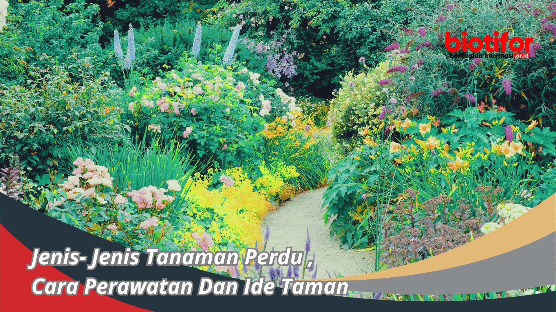 Jenis- Jenis Tanaman Perdu , Cara Perawatan Dan Ide Taman
