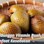 Kandungan Vitamin Buah Salak