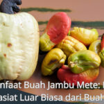 Manfaat Buah Jambu Mete