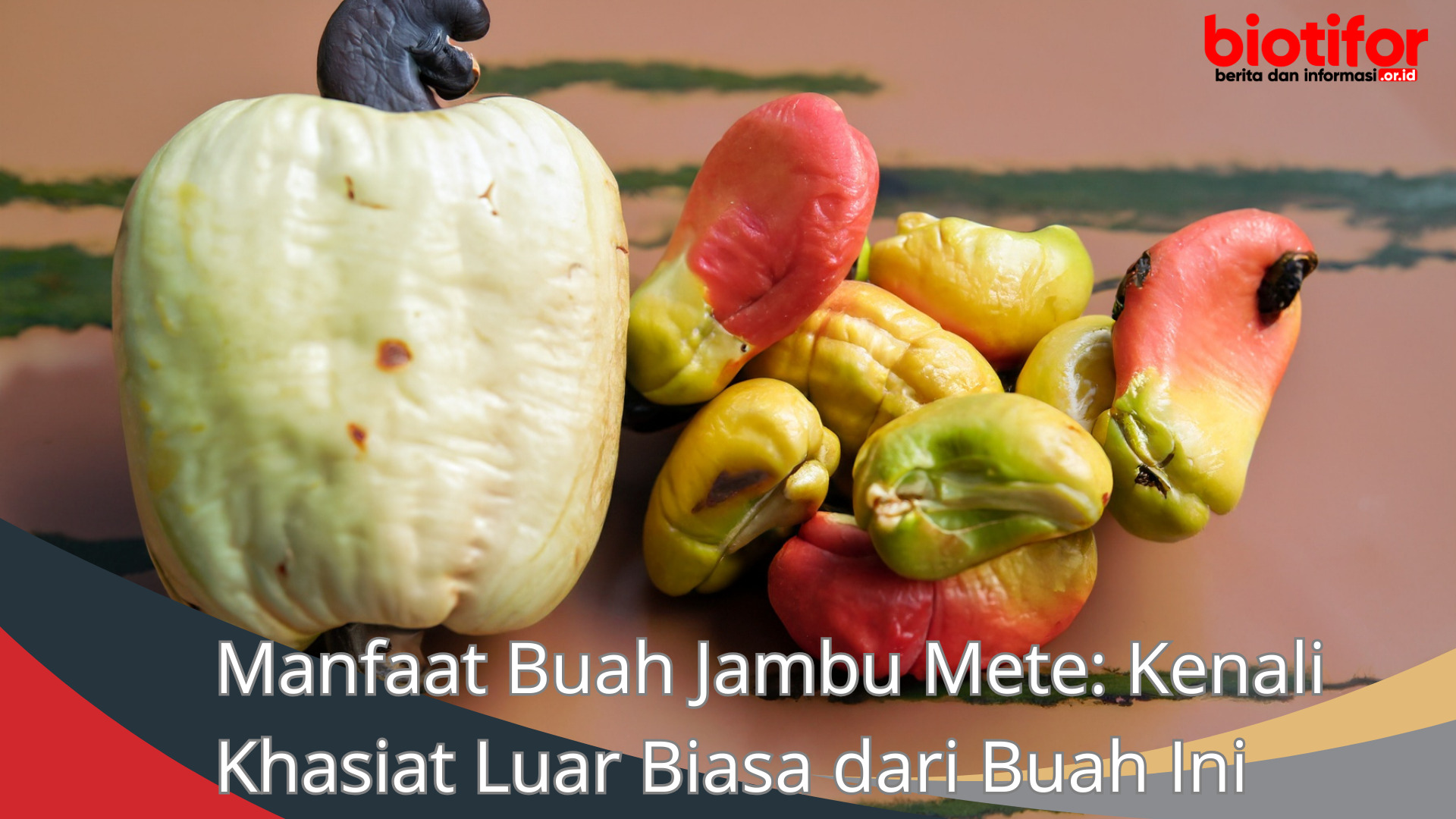 Manfaat Buah Jambu Mete: Kenali Khasiat Luar Biasa dari Buah Ini