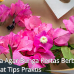 Cara Agar Bunga Kertas Berbunga Lebat