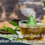 Manfaat Air Rebusan Daun Salam