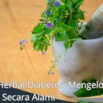 obat herbal diabetes