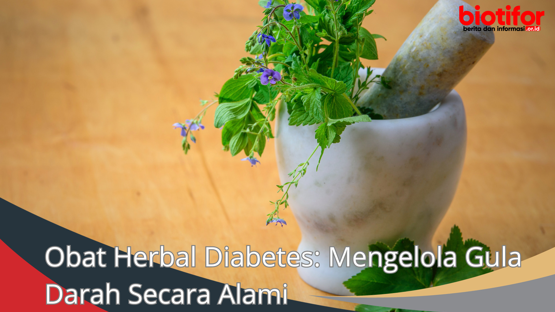 Obat Herbal Diabetes: Mengelola Gula Darah Secara Alami