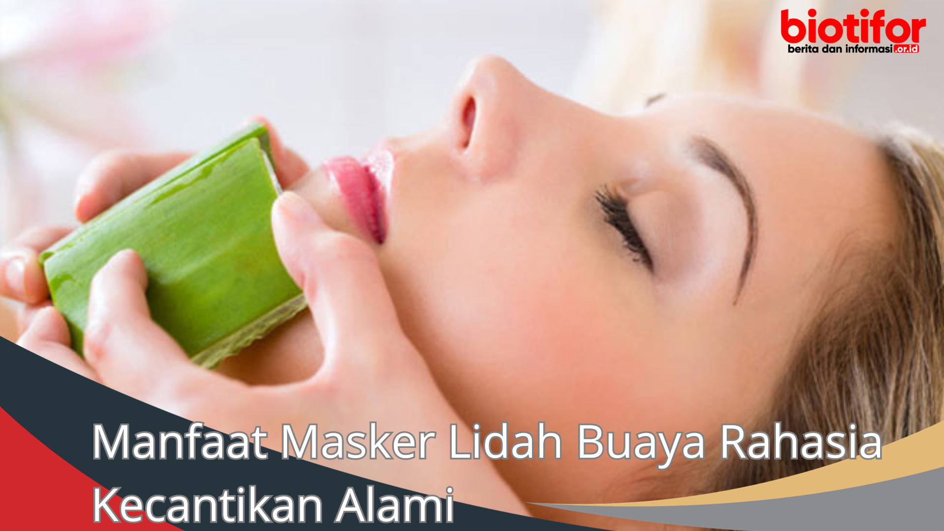 Manfaat Masker Lidah Buaya Rahasia Kecantikan Alami