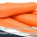 Kandungan Vitamin Wortel