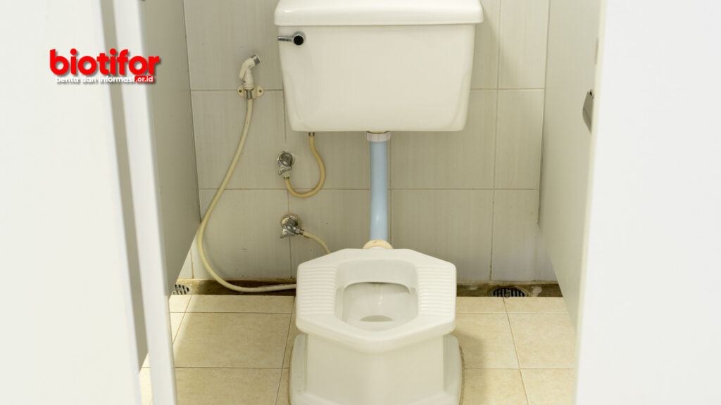 manfaat toilet