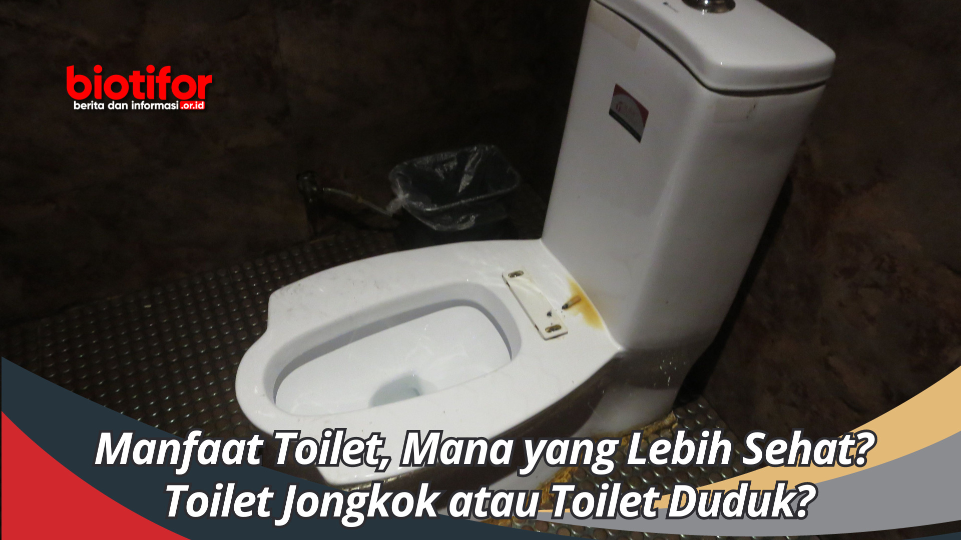 Manfaat Toilet, Mana yang Lebih Sehat? Toilet Jongkok atau Toilet Duduk?