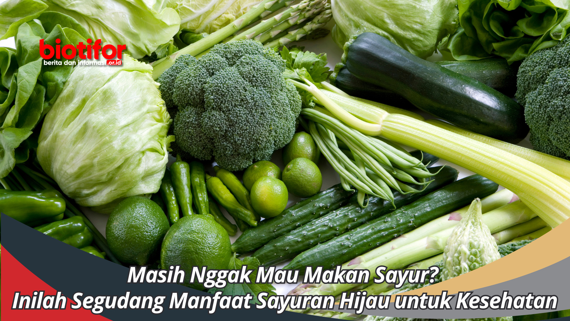 Masih Nggak Mau Makan Sayur? Inilah Segudang Manfaat Sayuran Hijau untuk Kesehatan