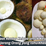 Manfaat Kentos Kelapa