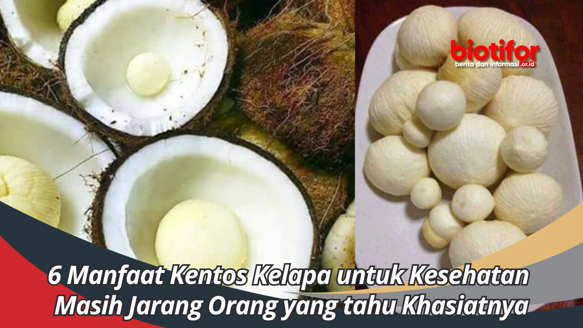 6 Manfaat Kentos Kelapa untuk Kesehatan yang Masih Jarang Orang Ketahui