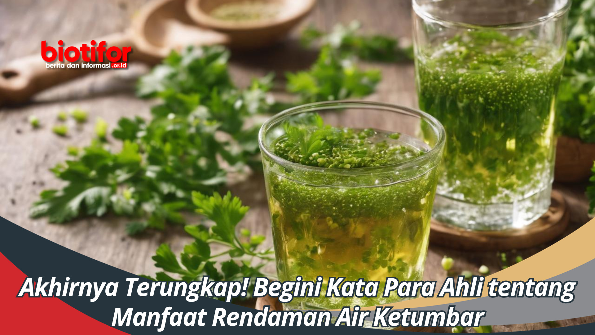 Akhirnya Terungkap! Begini Kata Para Ahli tentang Manfaat Rendaman Air Ketumbar