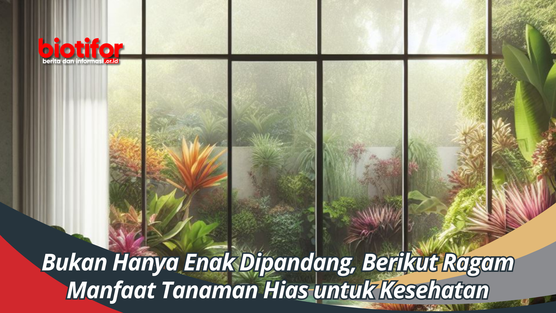 Bukan Hanya Enak Dipandang, Berikut Ragam Manfaat Tanaman Hias untuk Kesehatan