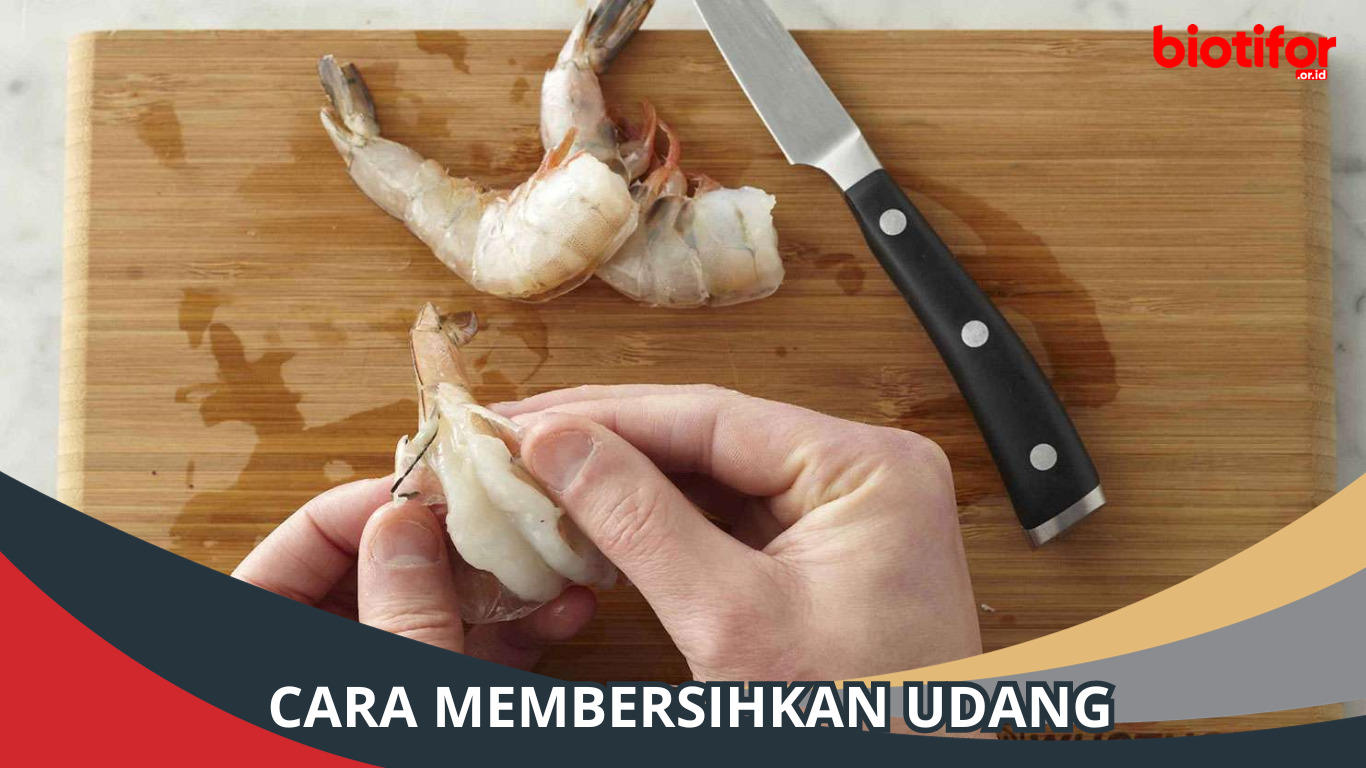 Cara Membersihkan Udang